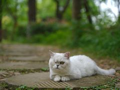 -白鹭湾湿地公园