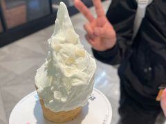 -野人先生Gelato(上海长宁龙之梦店)