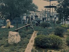 -辛玛王国游乐园