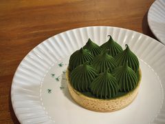 -猫里有甜