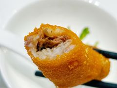 -丁老爷子苏香圆