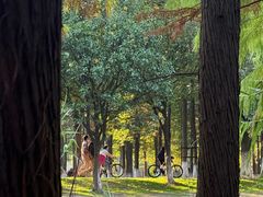 -艾溪湖湿地公园