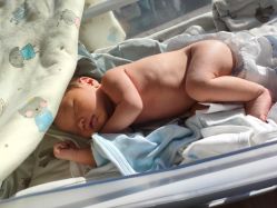 -哈佛宝贝月子会所(登封店)