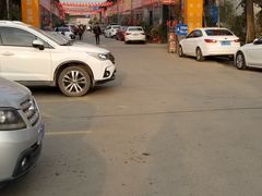 -金科花卉市场