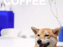 -intime coffee(芝麻街店)