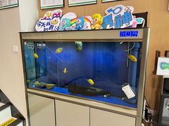 -艾维口腔(春江花月门诊部)