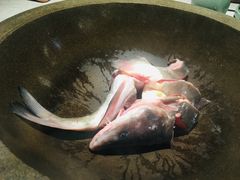 -鲜潭蒸汽石锅鱼(五道口购物中心店)