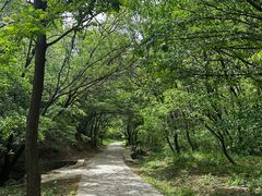 -金龙寺国家森林公园