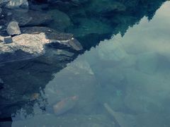 -叠溪松坪沟景区