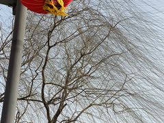 -南翠屏公园