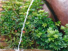 -雅安楠水阁温泉酒店