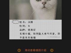 -平行世界·猫咖(首经贸店)