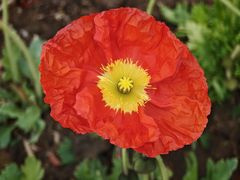 -中粮·祥云小镇