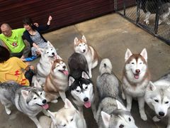 -TrueLove @ Neverland (Husky Cafe)