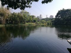 -晓港公园