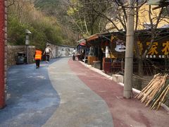 -王顺山国家森林公园