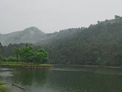 -黄陂区野村谷景区