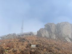 -白草畔自然风景区