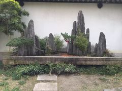 -上海醉白池公园