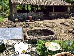 -海口火山口国家地质公园