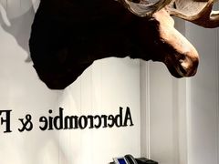 -Abercrombie & Fitch(三里屯太古里店)