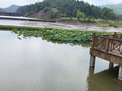 -仙水洋