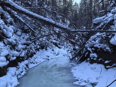 -峡谷浮石林景区