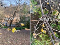 -南京市江宁方山