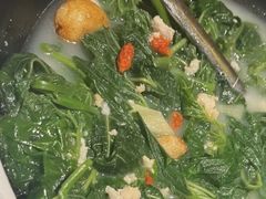 -羽鸽集·乳鸽专门店·地道顺德菜(岭南站店)