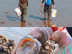 -日照灯塔风景区