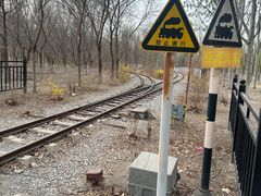 -西青郊野公园
