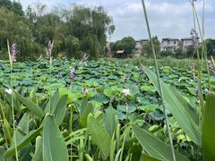 -南京金牛湖风景区