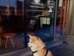 -星巴克臻选(北京凤凰汇店)