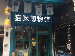 -猫咪博物馆(顶澳仔猫街店)