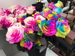 -荷兰花海