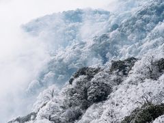 -梵净山旅游区