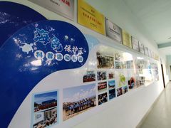 -广东惠东海龟国家级自然保护区