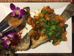 -Daddy Nimman Chiang Mai