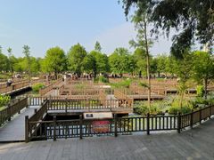 -五缘湾湿地公园