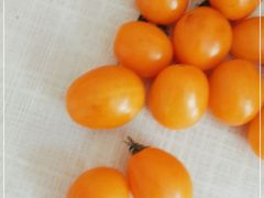 -老陕兄弟(彩虹新城店)