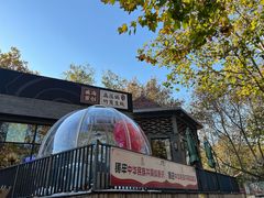 -蚝堡·生蚝海鲜烧烤物种起源•海肠捞饭(刘公岛店)