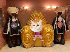 -济州岛泰迪熊博物馆