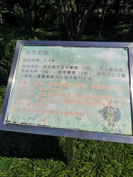 -酷酷兔少儿拓展天地
