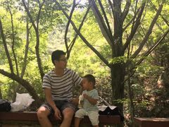 -木兰云雾山