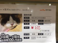 -屋虎猫馆(宝安大仟里店)