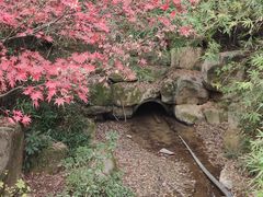 -杭州半山国家森林公园