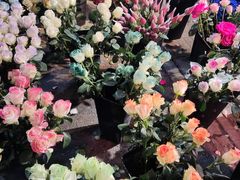 -循礼门鲜花花市(武汉循礼门店)