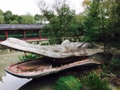 -中国扬子鳄村