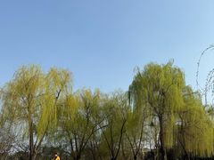 -东湖落雁景区