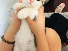 -Pets First伊珊娜洗护·精致美容·家庭式寄养(新会路店)